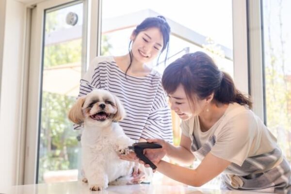 動物に関わる仕事がしたい！資格なし未経験や高卒でもなれる職業15選と求人の探し方 ｜ takahiro BLOG